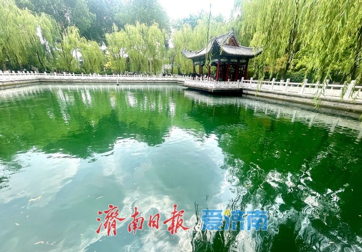一年四季 泉在济南｜泉边夏日 戏水纳凉好景致