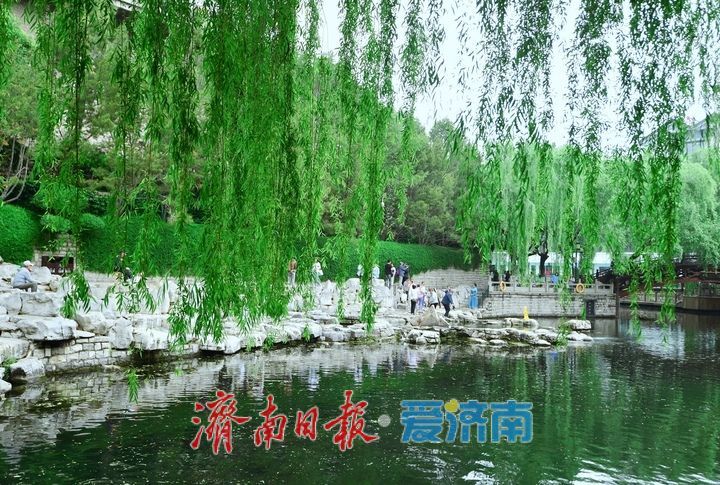 雨助泉涌，济南黑虎泉水位一夜攀升7厘米
