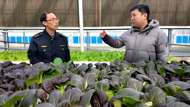 喝纯净水、住阳光房，济南蔬菜拿下北方地区首张“湾区认证”