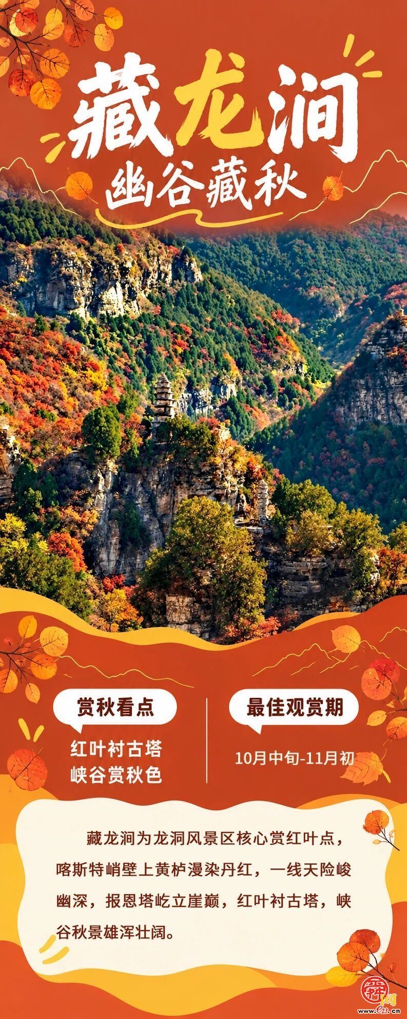 现在出发正当时！泉城红叶迎来最佳观赏期