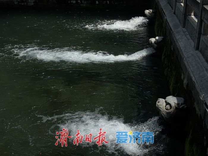 降雨补给水位攀升 黑虎泉三兽首喷涌气势十足