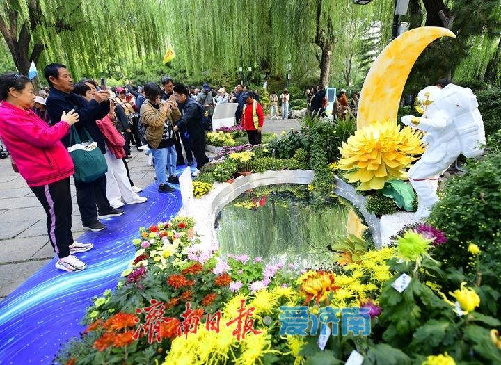 泉畔秋色菊香可待，济南市第47届趵突泉金秋菊展正式启幕