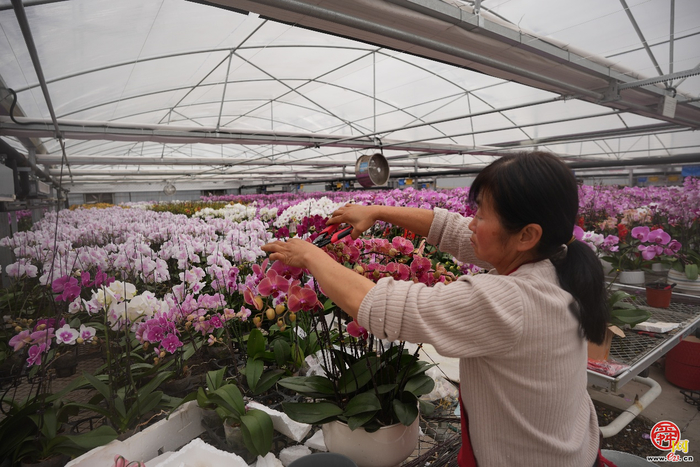 济南易通城建集团吹响“项目赋能年”奋进号角 全力冲刺2026“开门红”