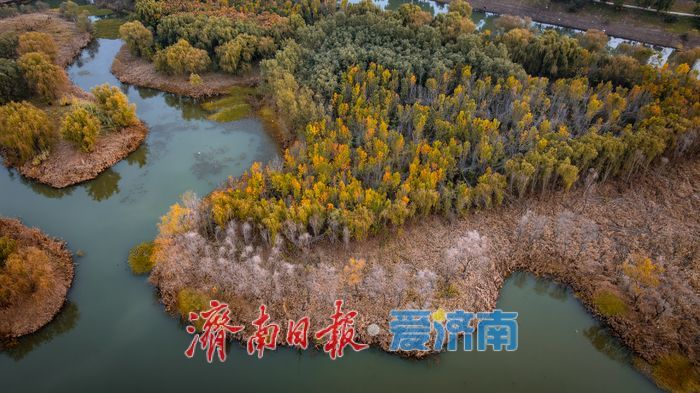 济南玉符河秋日生态日落交织，演绎自然诗意之美