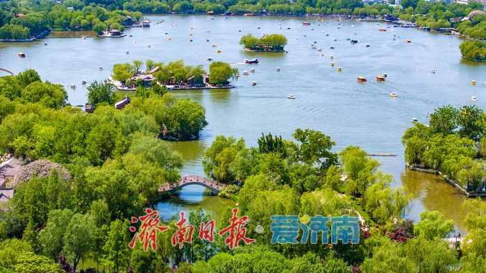 一年四季 泉在济南｜“五一”假期大明湖景区迎客流高峰，游船如织景美如画