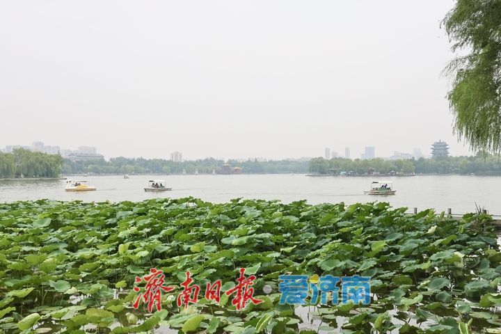 凉风送爽景致佳 市民泛舟大明湖乐享惬意周末