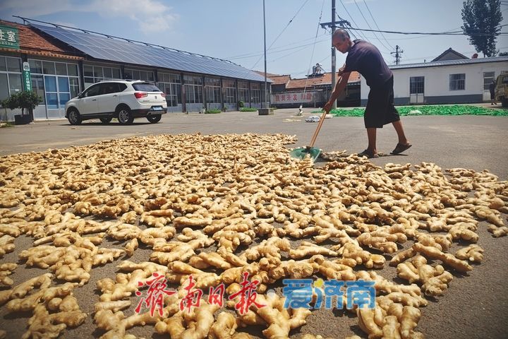 抢抓夏日好天光 晾晒作物保收成
