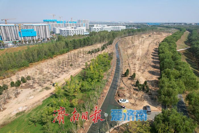 大河之畔植新绿 济南黄河生态廊道造林忙