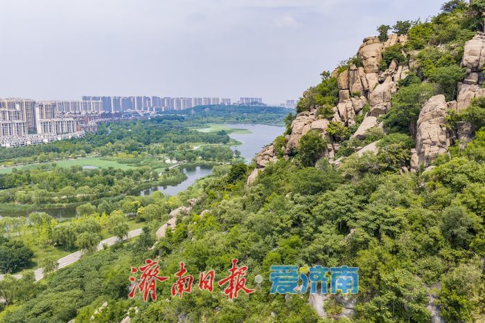 一年四季 泉在济南丨接天莲叶无穷碧，华山湖进入最佳赏荷期
