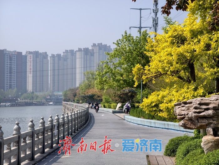 一年四季 泉在济南丨小清河畔春光好，生态蝶变展新颜