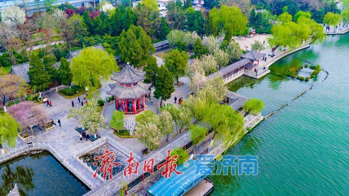 海棠盈香绕古亭 春韵满城醉明湖