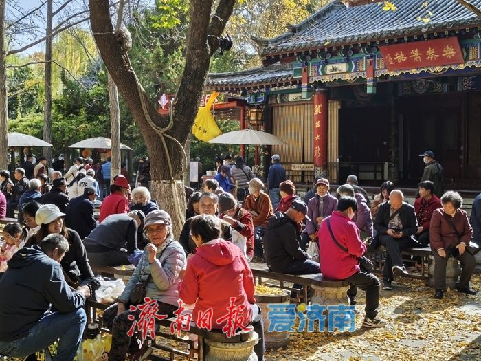 一年四季 泉在济南丨趵突泉金秋菊展进入最佳观赏期 “一菊连三园”共绘泉城初冬胜景