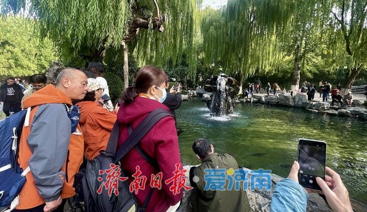 月牙泉畔演绎“清泉石上流”灵动画卷