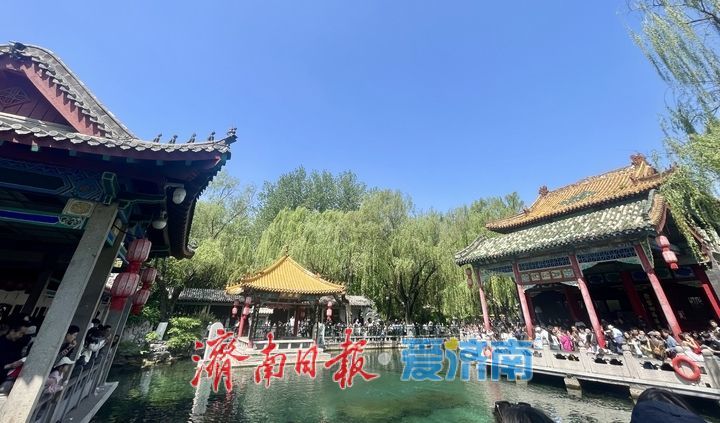 雨润泉涌引客来！趵突泉畔游人如织