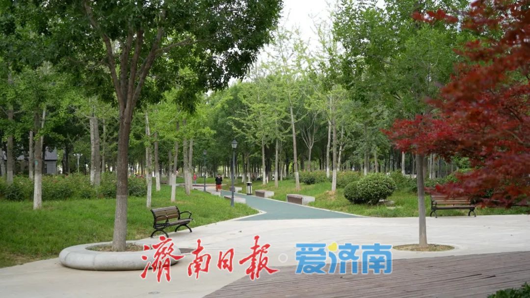 项目强省会｜细节满满！一起来了解工业南路“华丽转身”