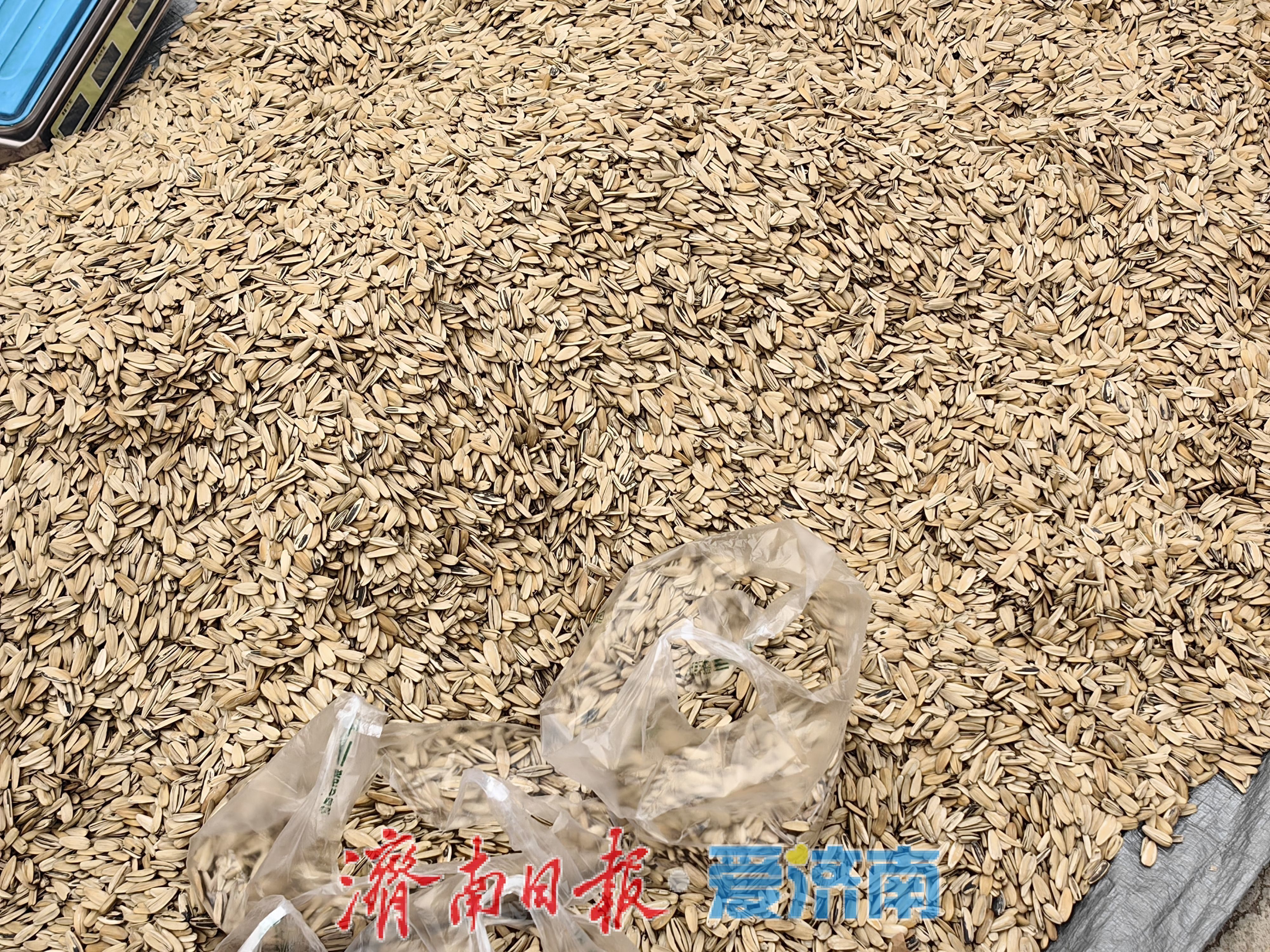 腊月里的烟火气：年味渐浓赶大集