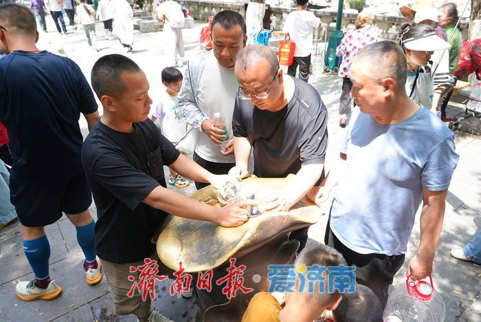 一年四季 泉在济南丨烈日炙烤 护城河畔成为“避暑秘境”
