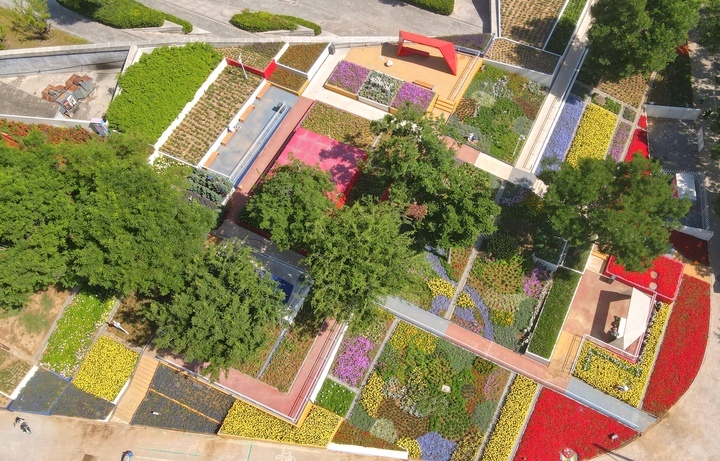 济南“七彩花田”初夏绽新颜