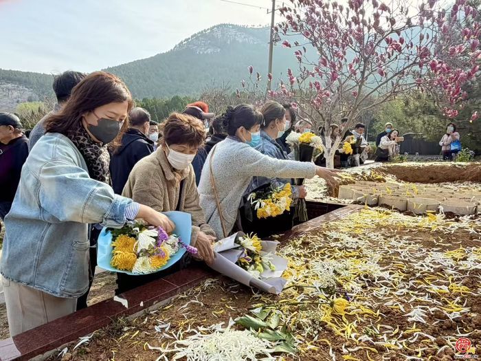 繁花伴长眠 文明润泉城——济南市玉函山安息园集体花坛葬践行绿色殡葬新风