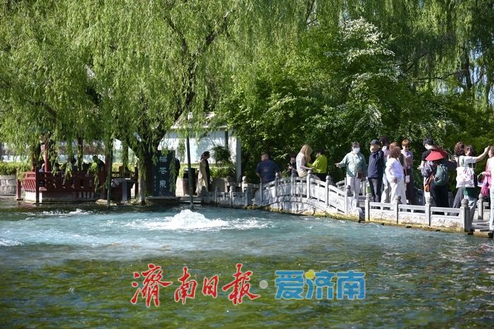一年四季 泉在济南丨五泉齐涌如梅绽，清照故里韵悠长