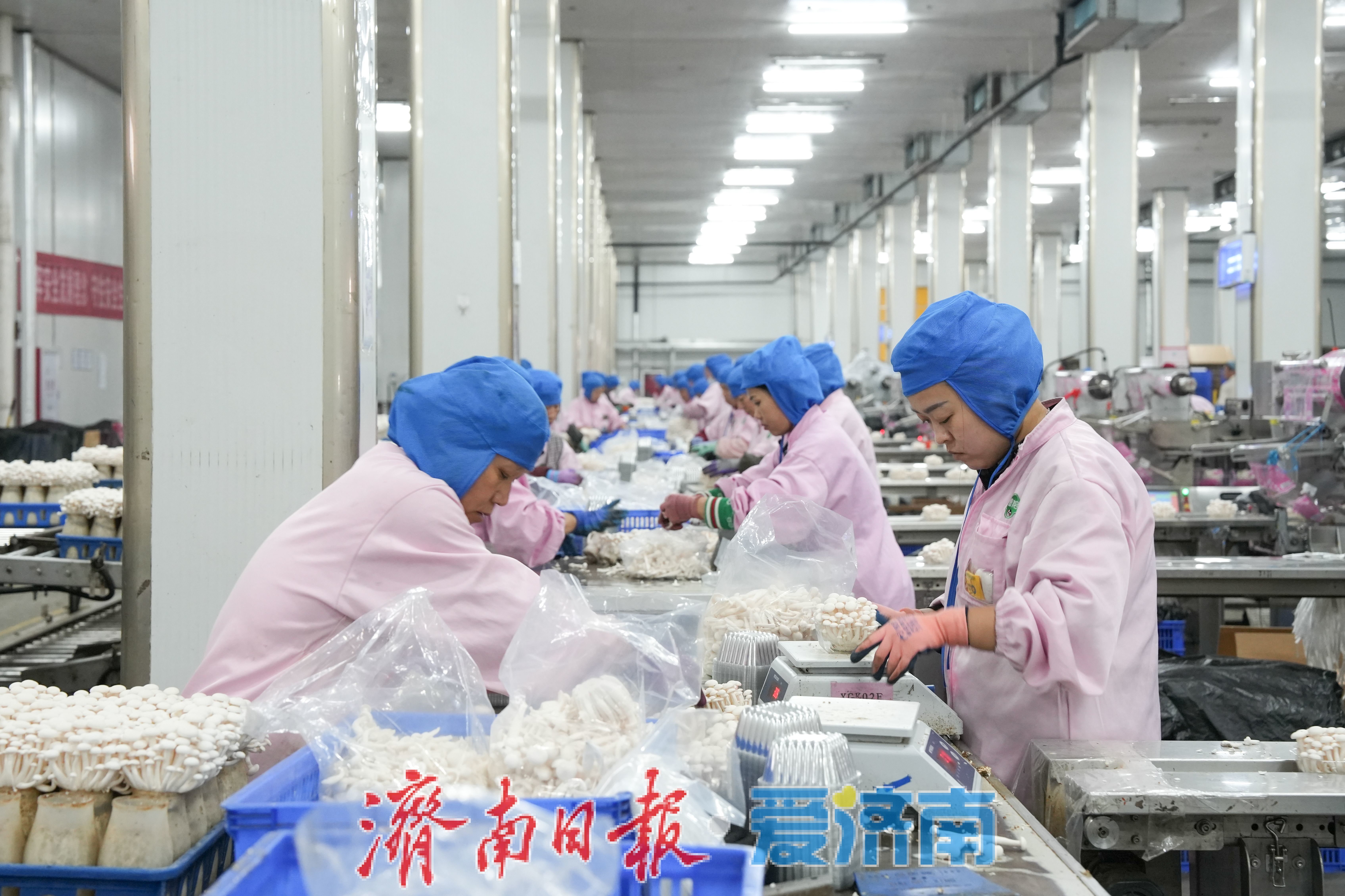 济南市前10月规上工业增加值同比增长7.9％