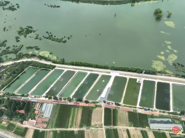济南:​​党建引领乡村振兴的“刘家庙样本”​