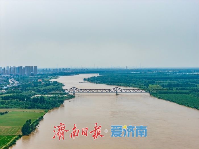 黄河山东段入主汛期，济南河段水势平稳