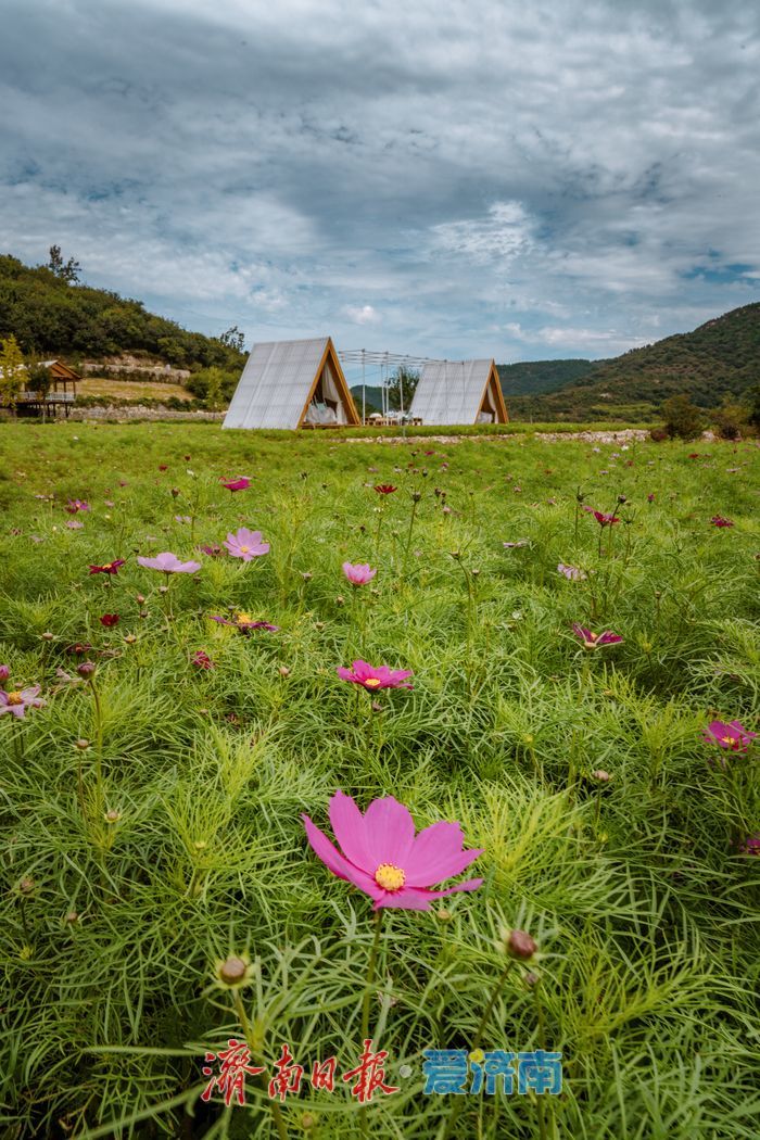 一年四季 泉在济南丨九如山：初秋生态画卷，引客共赴自然之约