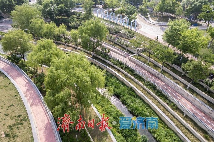 水清岸绿惠民生，全福河历下段尽显生态之美