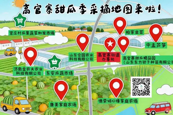 高官寨甜瓜熟了，这份采摘地图请收好！