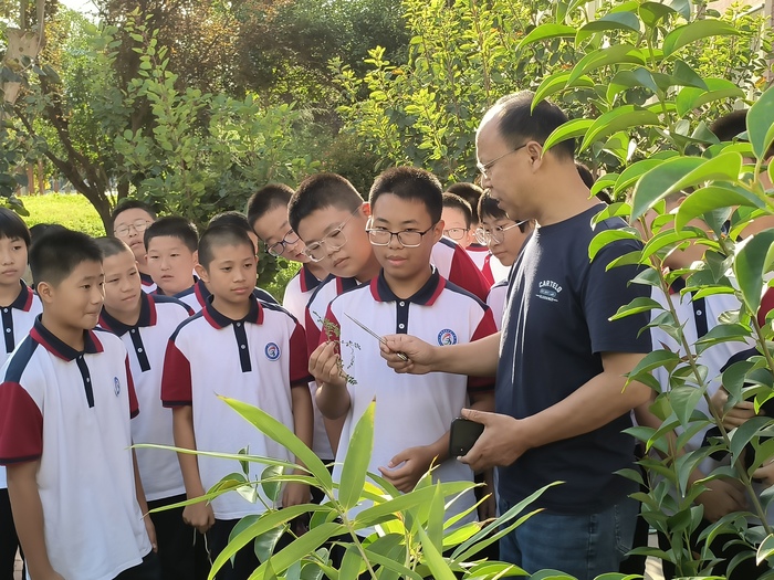 高新一中学子与中草药开始亲密邂逅