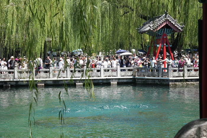 “泉”在济南过暑假｜水位“十连涨”！济南“趵突腾空”胜景重现