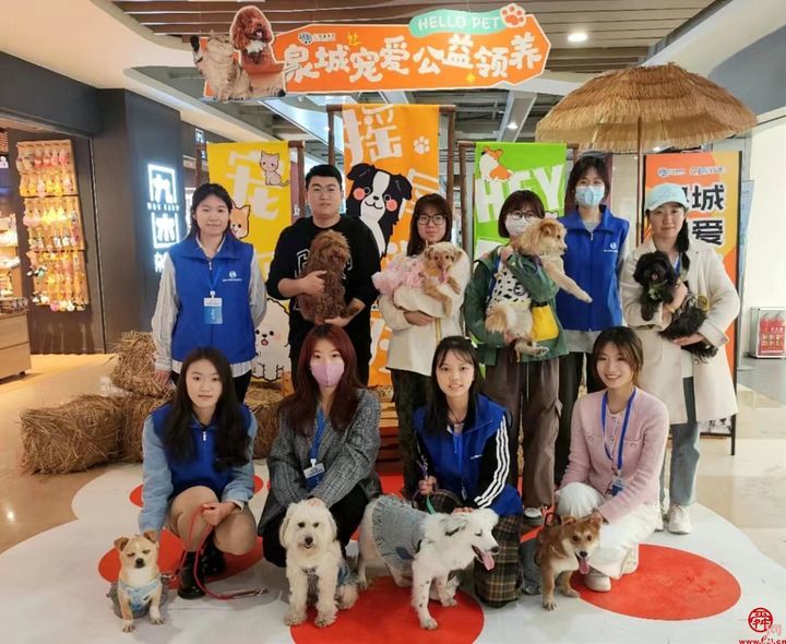济南首家宠物公益领养中心对外开放