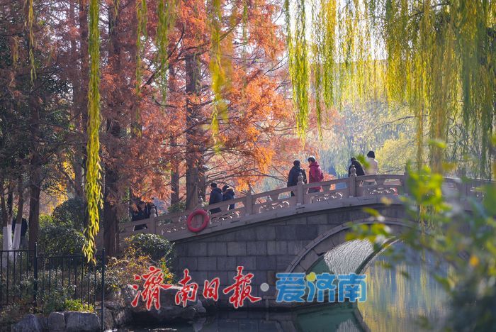 一年四季 泉在济南丨大明湖四象限机位 褚红杉林美到出圈