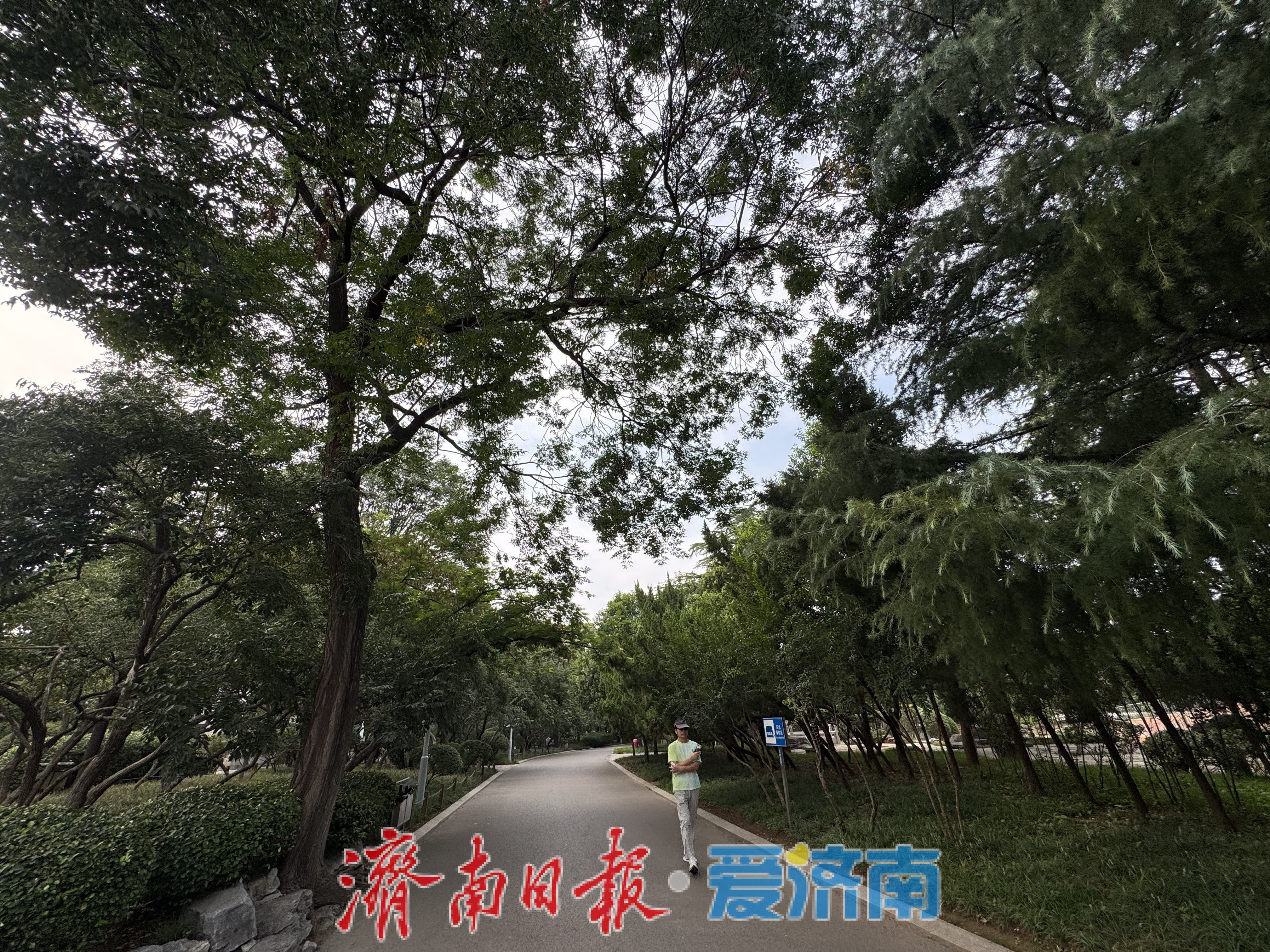 一年四季 泉在济南丨初秋休闲好去处 泉城公园景致佳