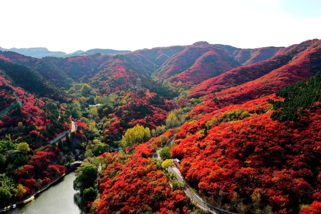 2024—2025年度山东省生态旅游发展典型案例公布，济南两案例入选