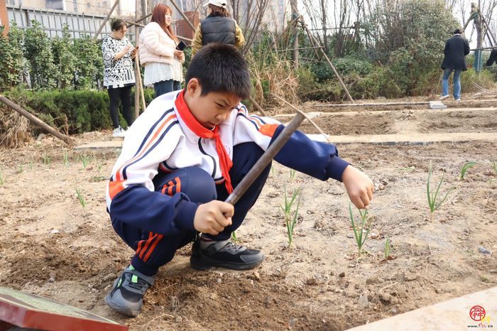 济南市天桥区枫景小学开展植树节活动