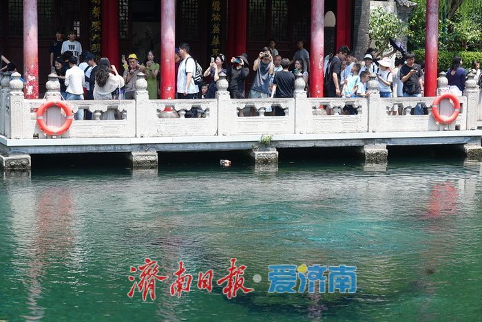 一年四季 泉在济南丨降雨助力，济南趵突泉水位4天上涨10厘米