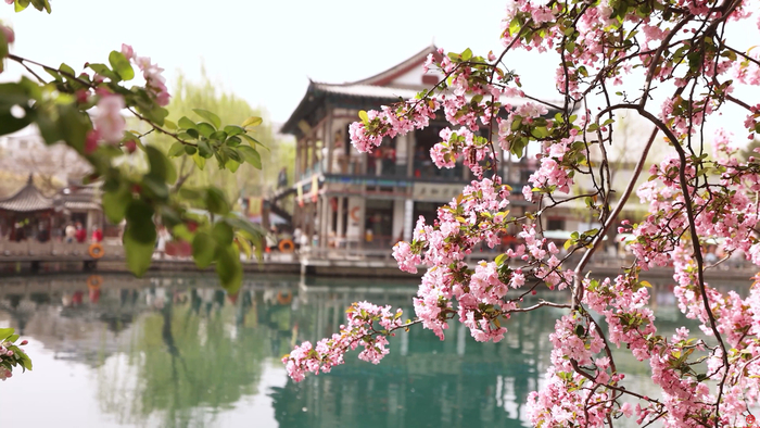 人间最美四月天 遇见泉城春色