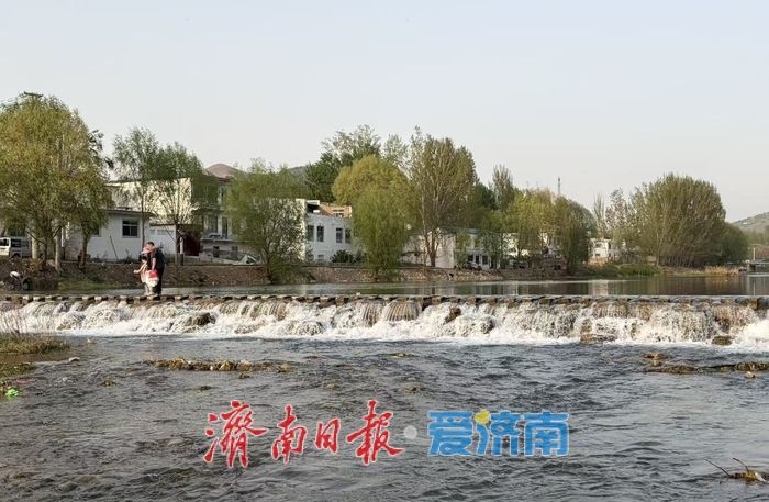 一年四季 泉在济南丨来玉符河边放个假