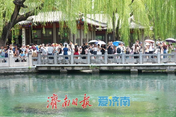 一年四季 泉在济南丨降雨助力，济南趵突泉水位4天上涨10厘米