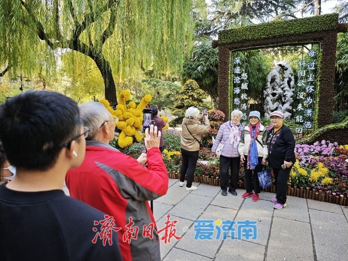 一年四季 泉在济南丨趵突泉金秋菊展进入最佳观赏期 “一菊连三园”共绘泉城初冬胜景