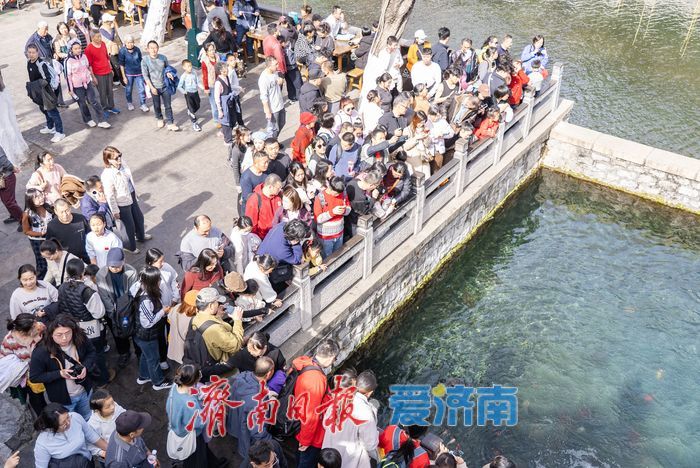 泉在济南过大年丨泉水游持续升温，赏泉品茗乐享新春