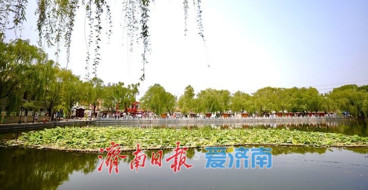 一年四季 泉在济南丨暑意渐浓游兴盛，古韵老街“热”力全开，端午小长假预热正当时