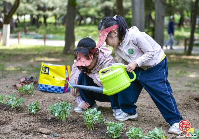 不负春日好时光 植绿护绿共前行——济南市春季全民义务植树活动火热进行中