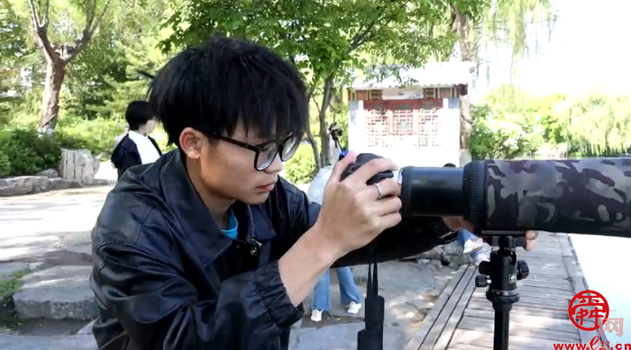 跟着鸟儿看济南②：风暖草木香 莫负鸟鸣声