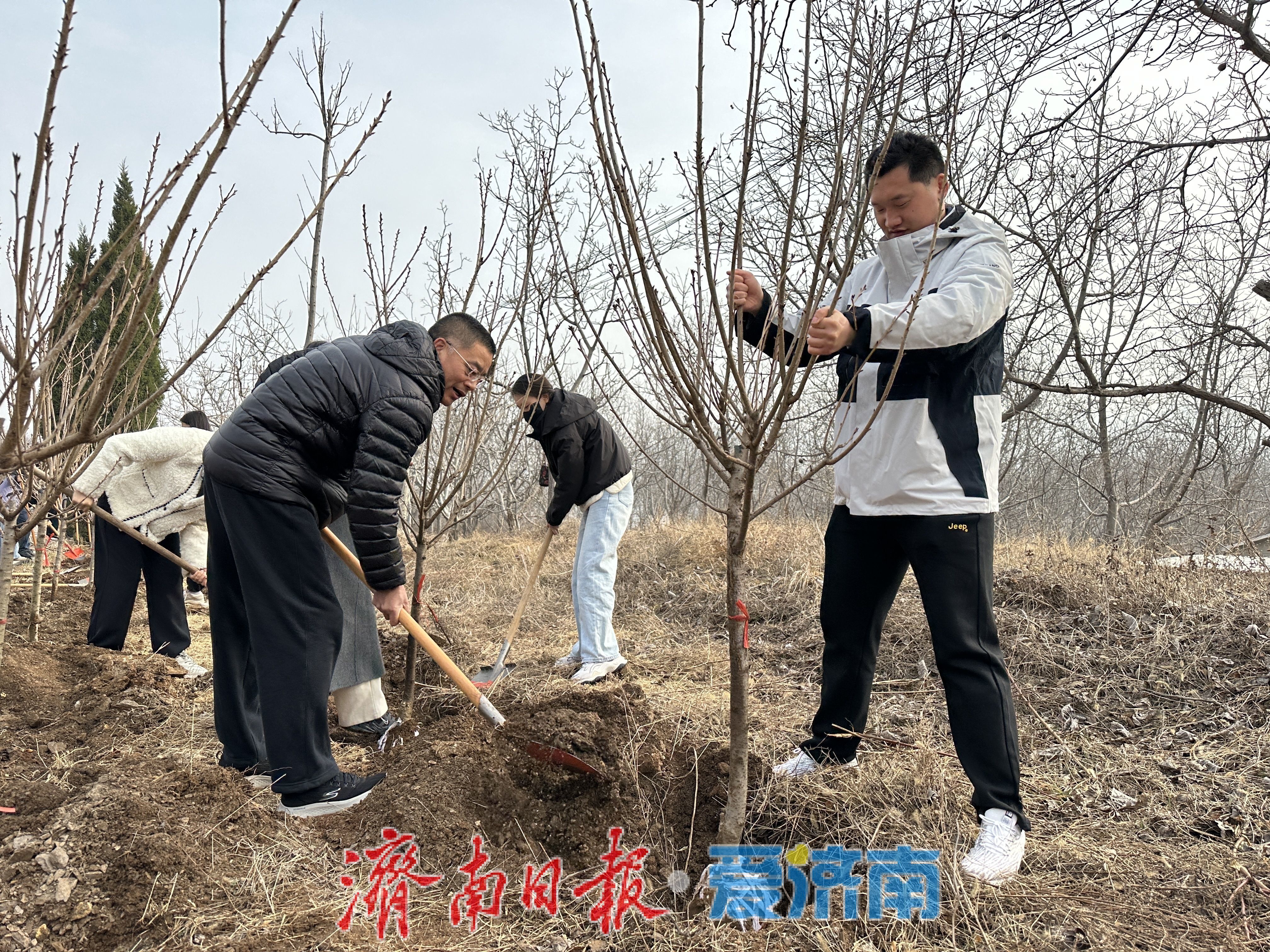 奔赴春光之约，共植泉城新绿 济南市全民义务植树活动全面启动