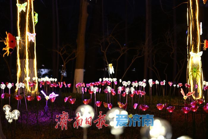 一年四季 泉在济南丨五龙潭花灯点亮泉城夜 市民游客争相打卡寻年味