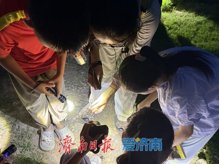 手电照见惊喜：佛慧山夜探虫趣浓，济南生态答卷更亮眼