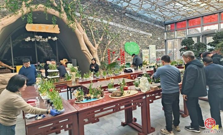 “2025年济南市新春水仙花展暨水仙雕刻艺术竞赛”作品展即将开幕